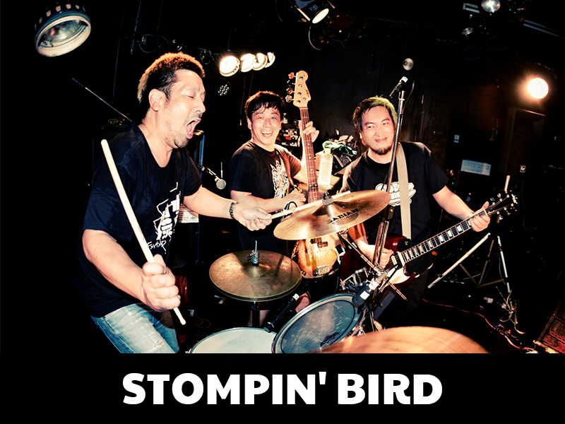 STOMPIN' BIRD